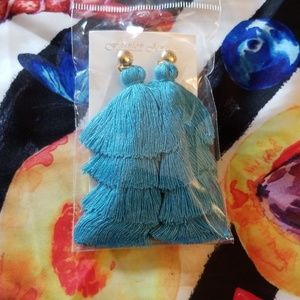 Fringe Tassel earrings